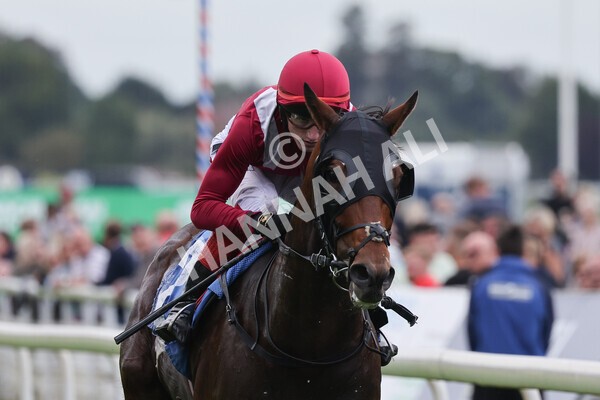 yr24092021r5-24 - Race 5 3.50pm William Hill Leading On Course Bookmaker Stakes