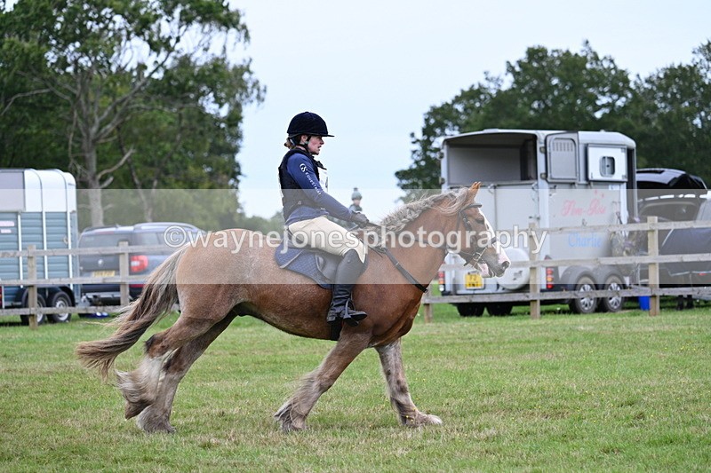 WJ7_7735 - 40cm Time 10:49 to 11:18