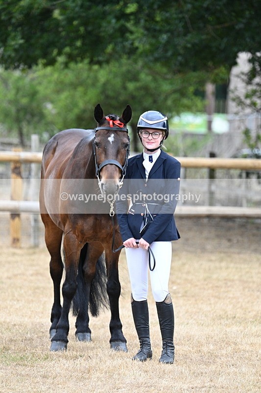WJ7_0018 - Class 5a Most Handsome Gelding (above 14.2hh)