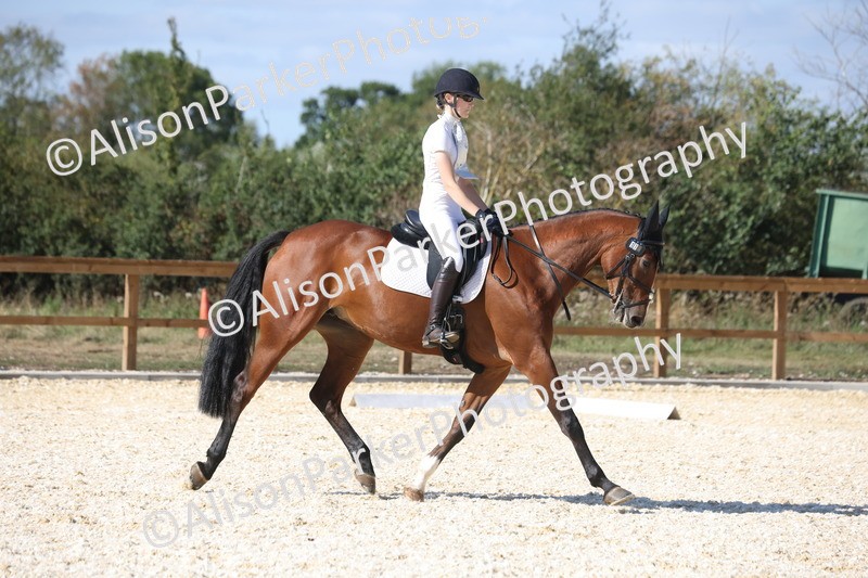20260905-1512 - Class 5 - Novice 2
