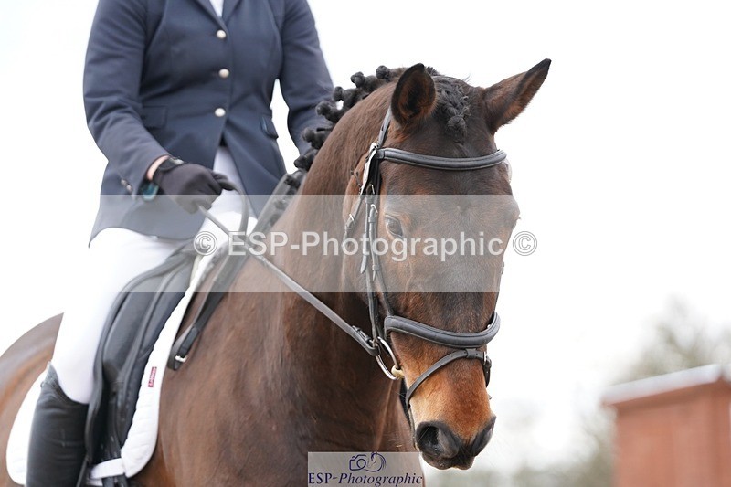 250322-121608-00319 - DR Novice 2 Test