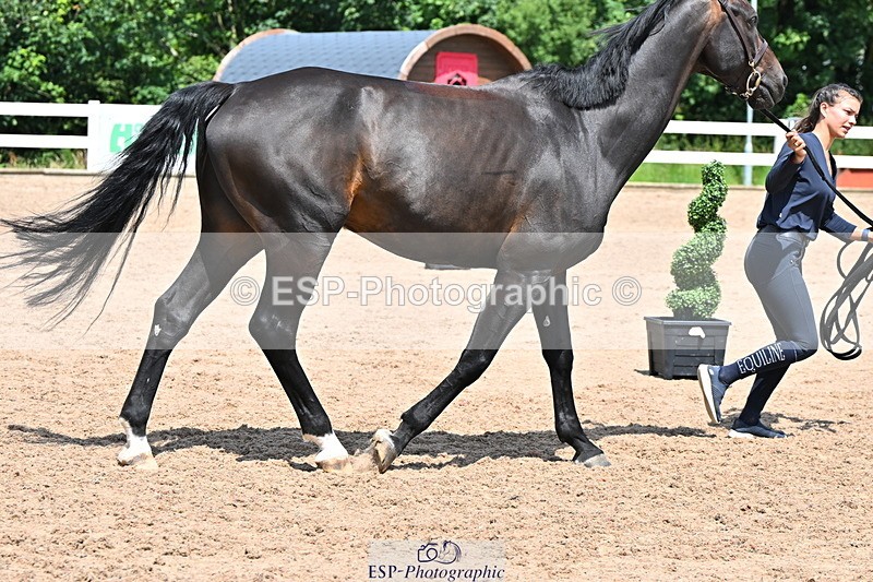 240718A-105316-01770 - Trot Up 1pm to 2pm