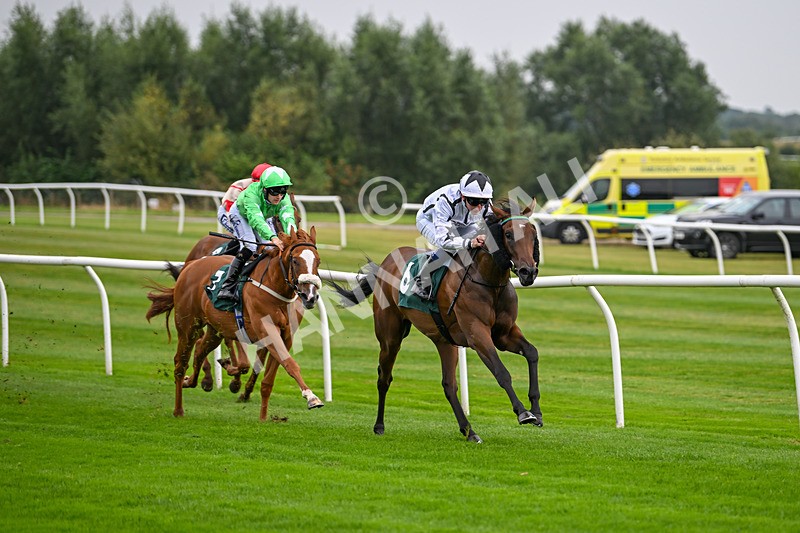 280824-Race 1-Nala Star-3932 - Race 1