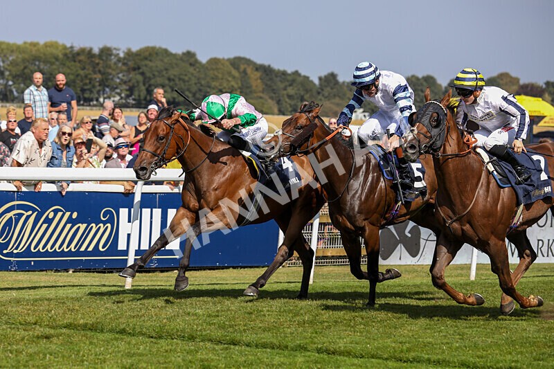 310824-Race 2-Democracy Dilemma-1133 - Race 2