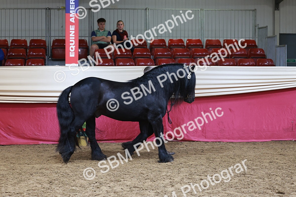 SBM_17430 - Class 951 - M&M IH Supreme Final