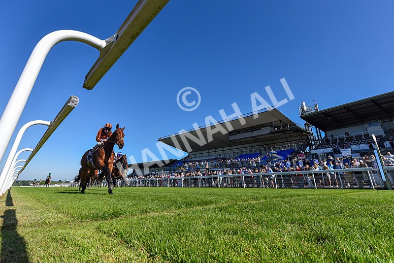 130525-Race 6-Analogical-2041 - Race 6