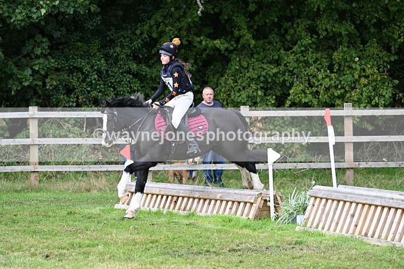 WJ7_8009 - 40cm Time 10:49 to 11:18