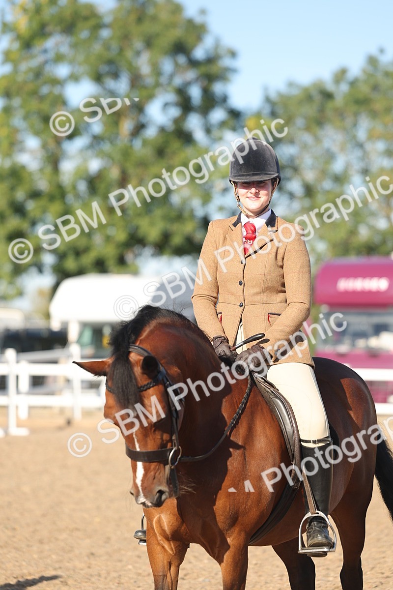 SBM_11056 - Class 302 - Ridden M&M Large Breeds