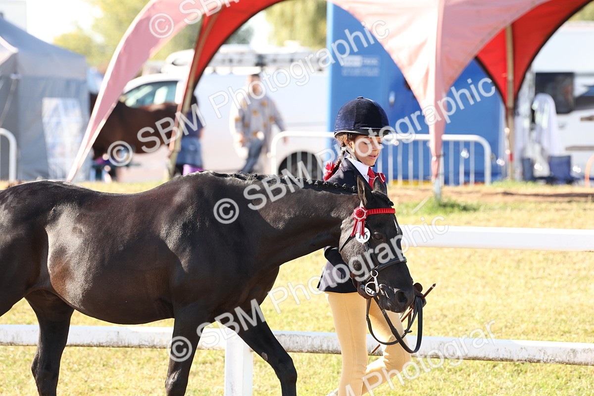 SBM_11634 - Class 203 - Young Handler 11 to 16 years