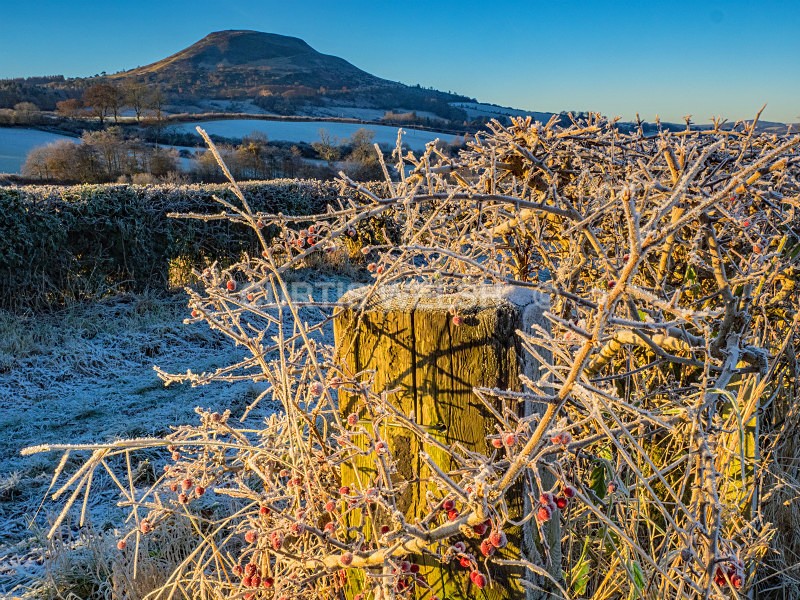160 - SCOTTISH BORDERS