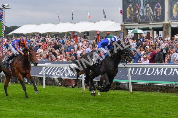 230823-Race 4-Mostahdaf-0592 - Race 4 3.35pm Juddmonte International Stakes