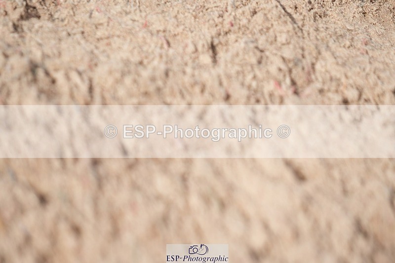 250902-151317-00047 - Clear Round