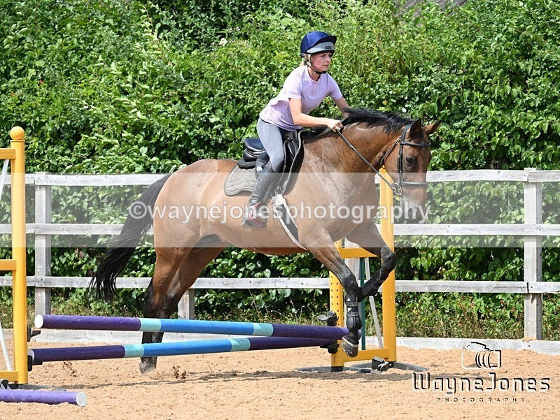 WJ7_6729 - Show Jumping at BCA