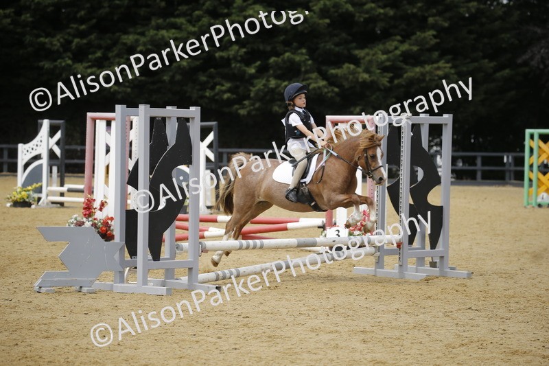 20250622-4620 - 50cm