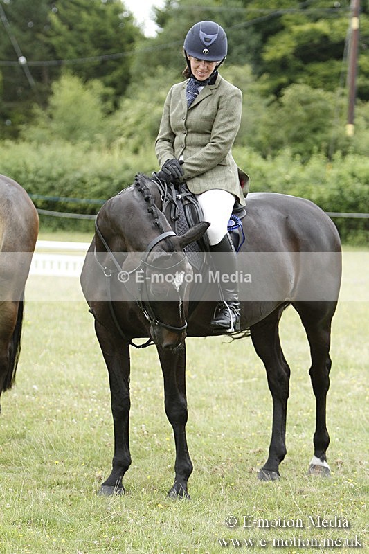 BVR160717-990 - Ring 3 BVRC Show 16/07/17