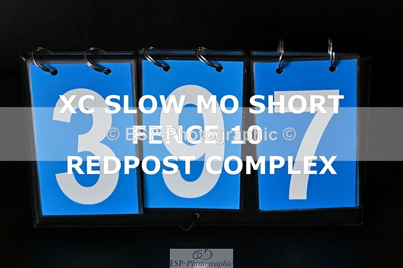 ESP_397 - E-397-Verity.Leggett