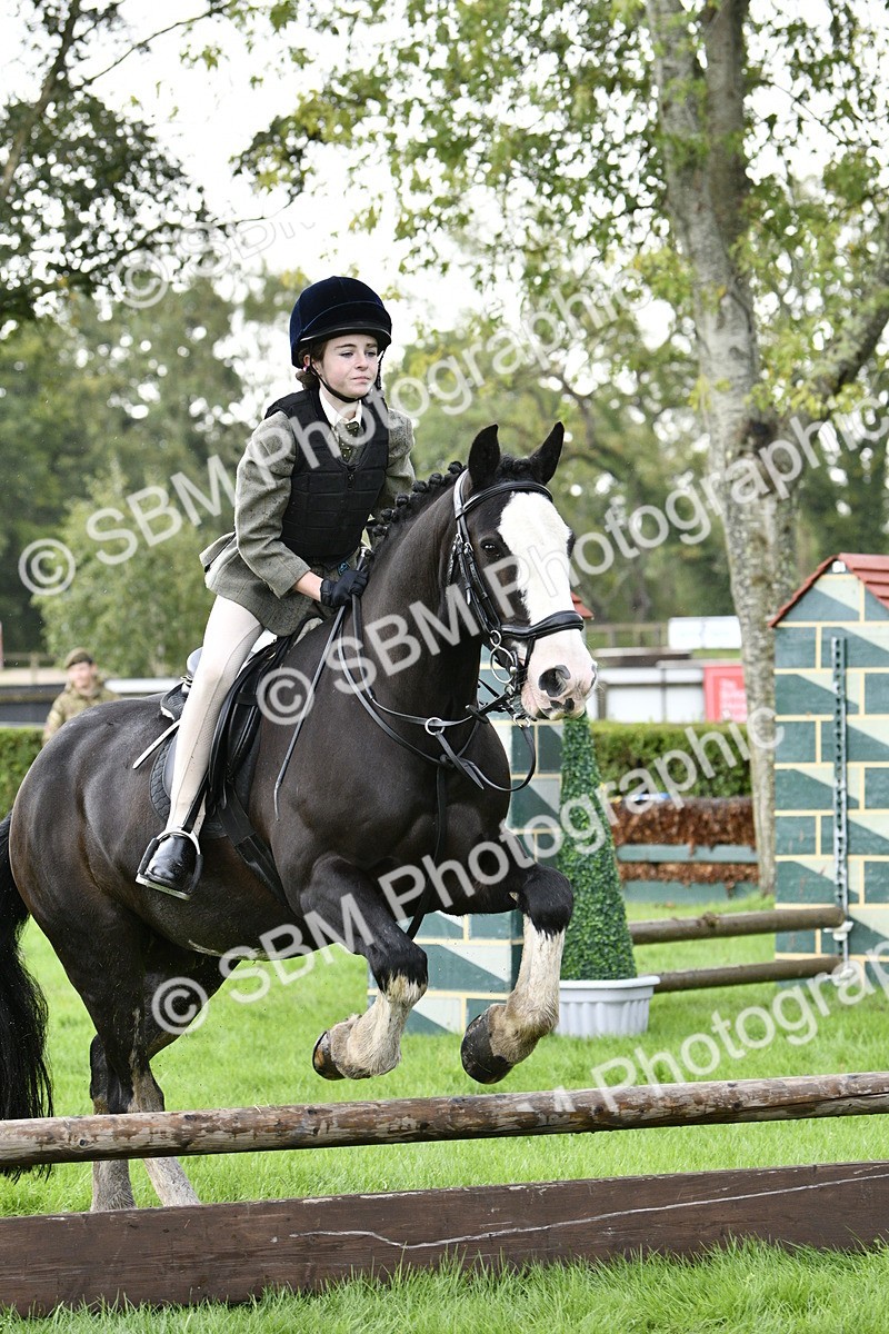 SBM_41501 - S32 - Mountain & Moorland Working Hunter Pony