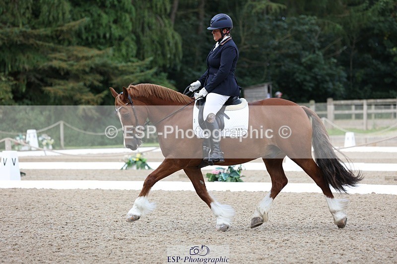 230813-094950-06153 - Cls 11 Elem Bronze Start to 10.50 break