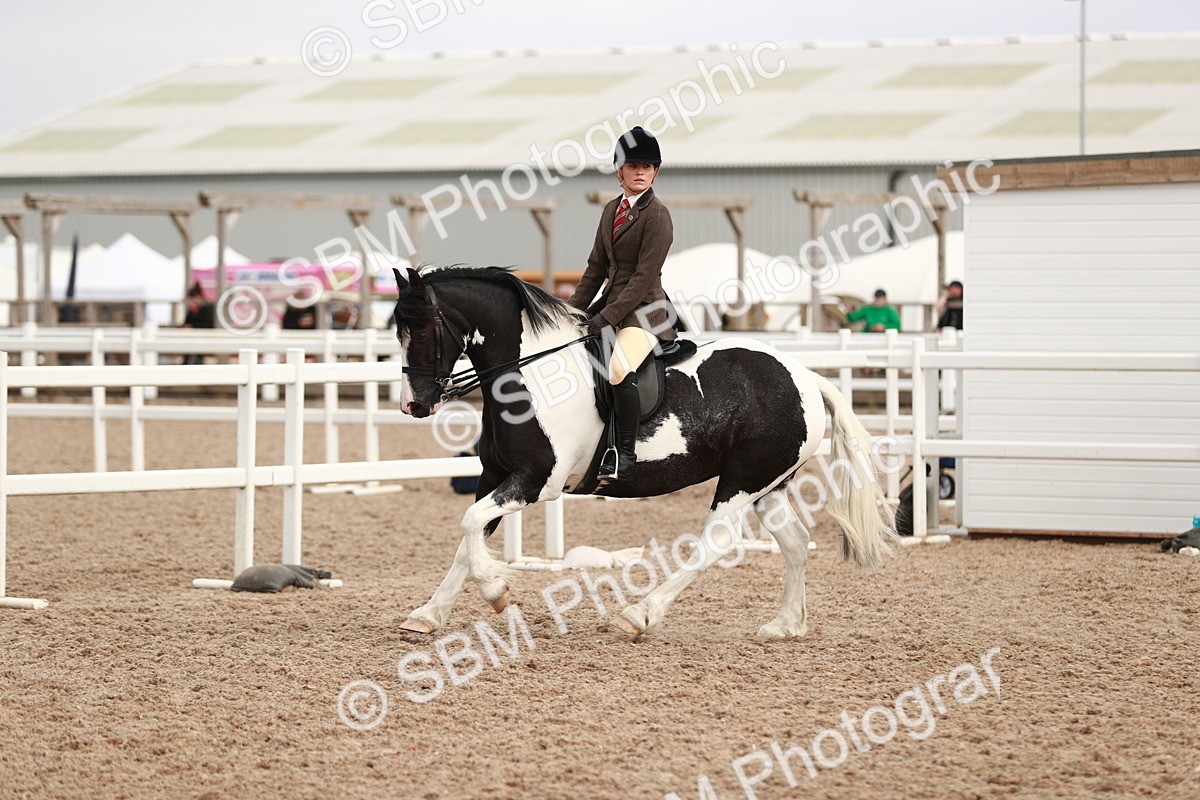 SBM_16703 - Class 214 Ridden Cob