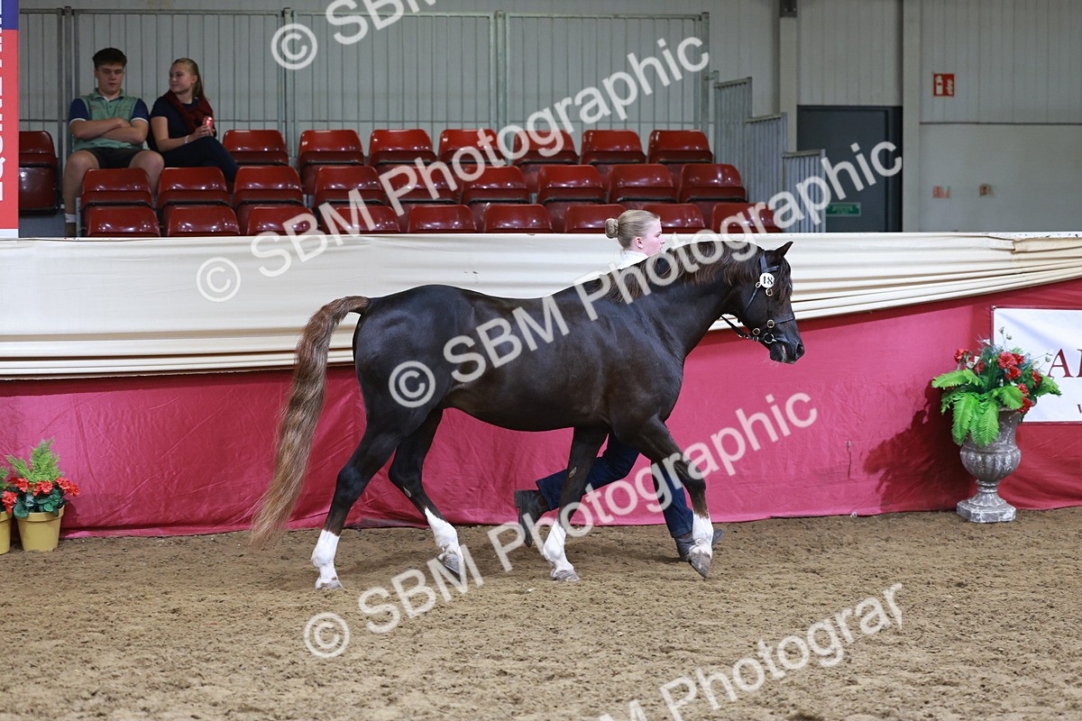 SBM_17444 - Class 951 - M&M IH Supreme Final