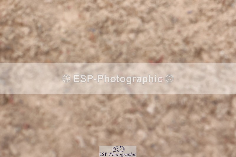 240714A-142514-02377 - Cls 14-15-16  CR & 60cm