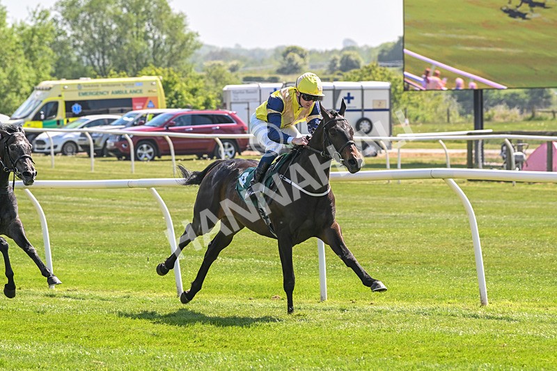 120525-Race 2-Far Ahead-8295 - Race 2