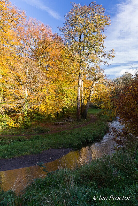 Autumn colours at Minnowburn - Autumn
