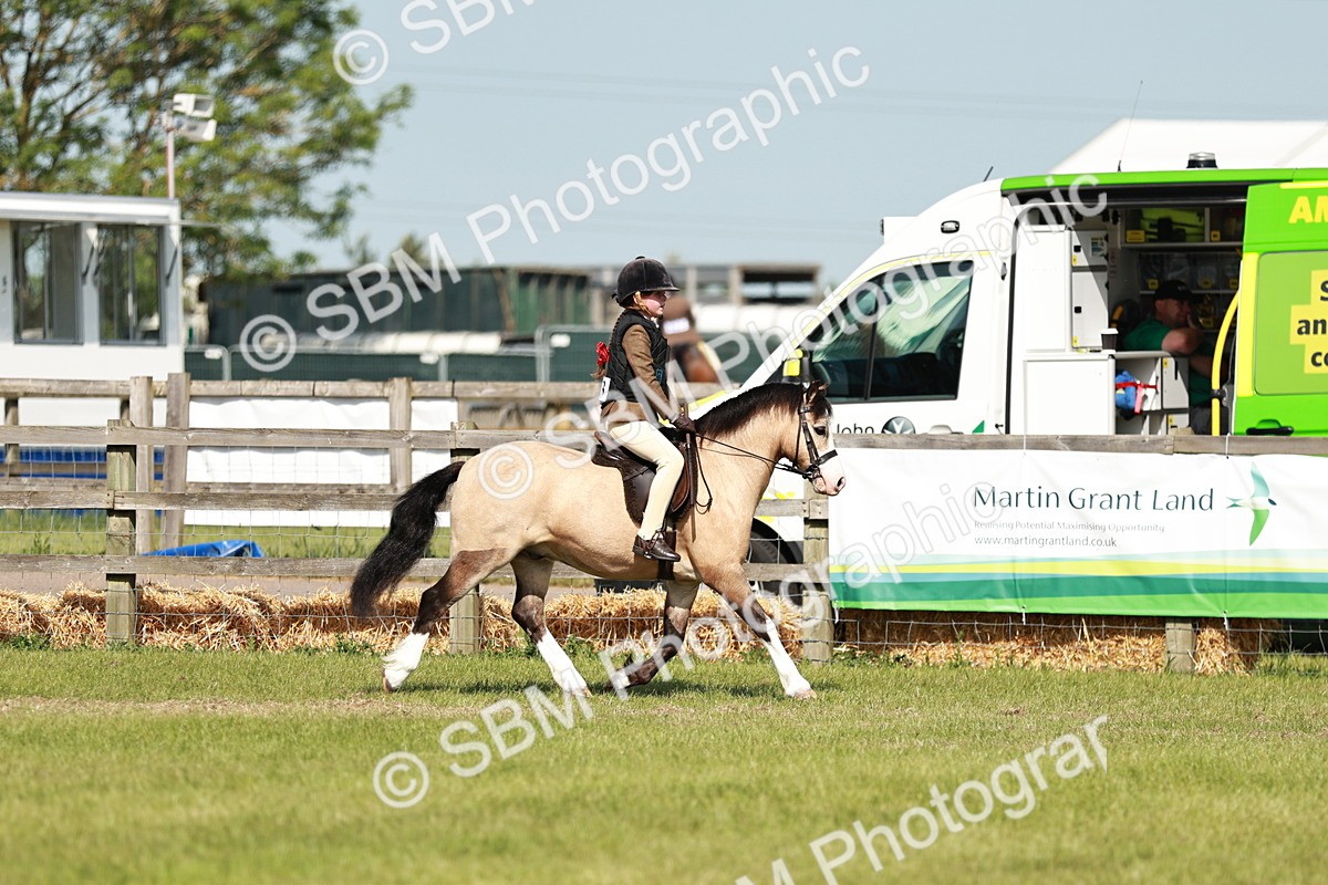 SBM_12701 - Class 106-107 - BSPS LIHS Working Sports Pony