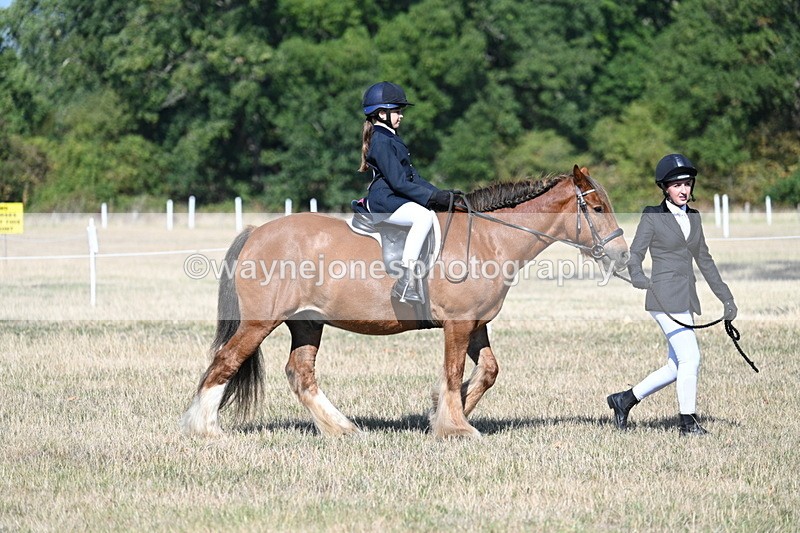 WJ7_2980 - Class 8 Ridden Tack & Turnout