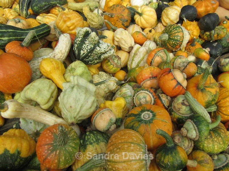 Autumn Harvest - Abstract, Macro & Misc.