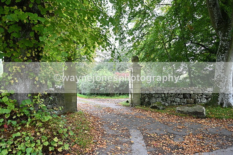 WJ7_2992 - Camera 1 Road