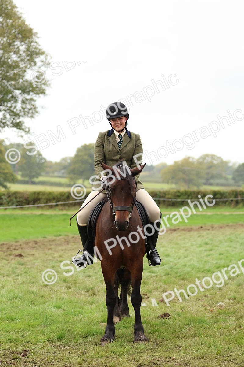 SBM_69603 - S62 - Mountain & Moorland Ridden Large Breeds