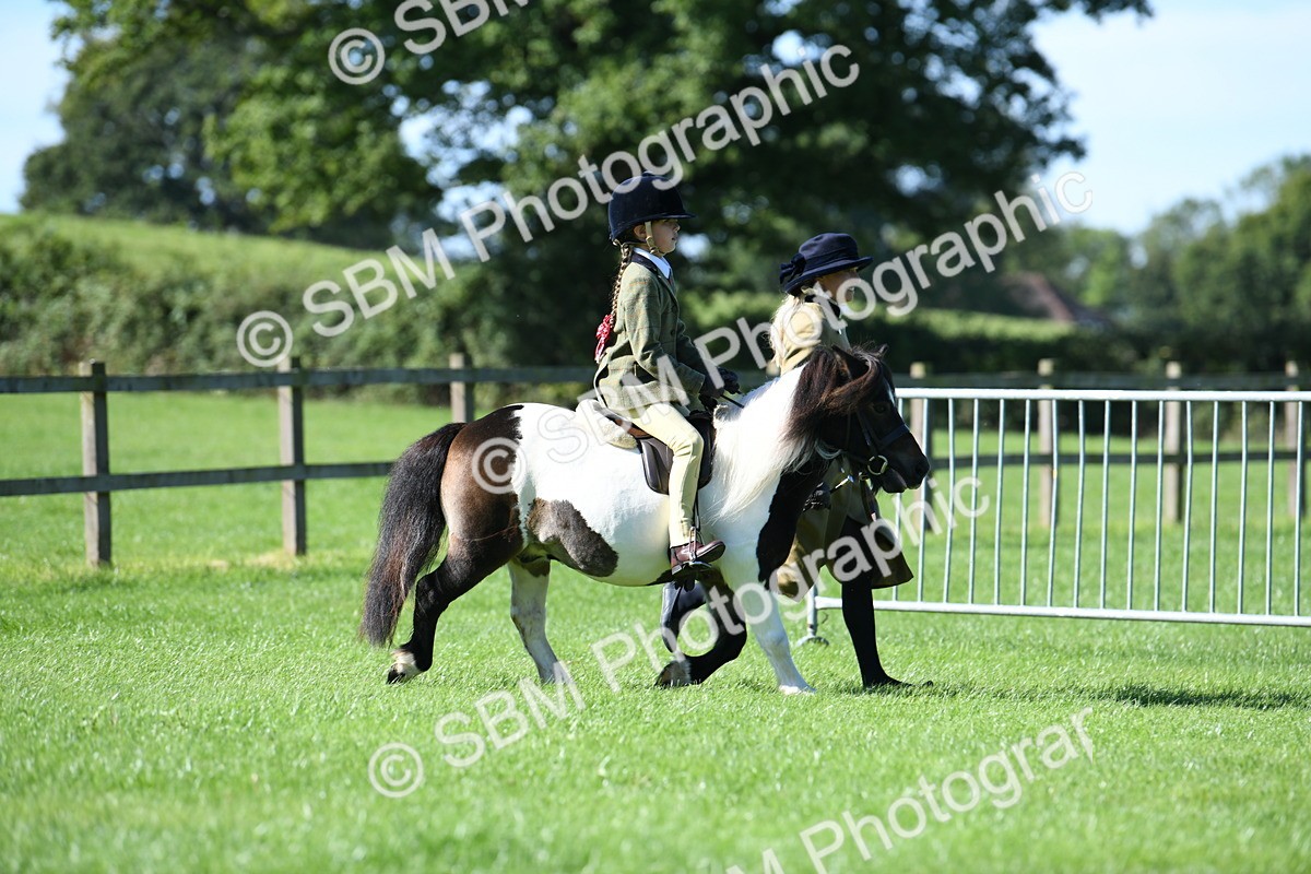 SBM_39550 - S18 - Novice & Newcomers Lead Rein Pony