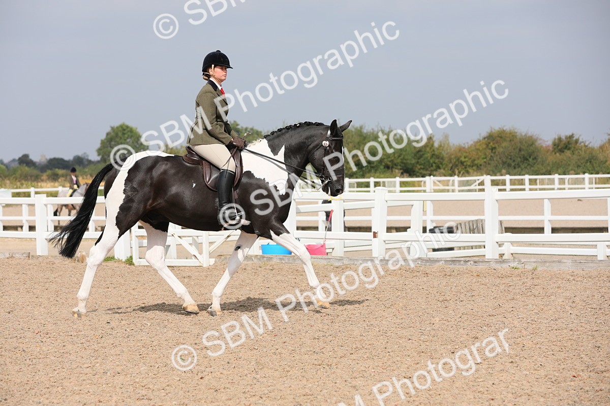 SBM_13335 - Class 308 Ridden Coloured Horse