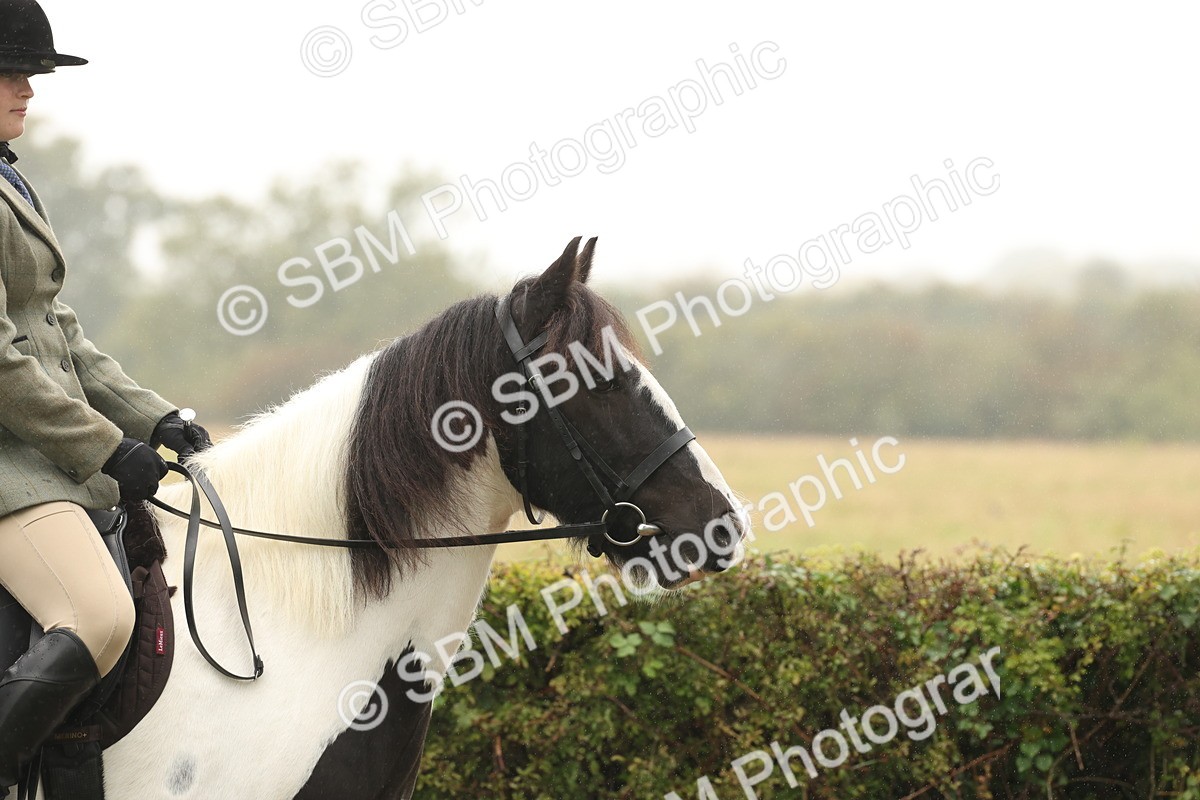 SBM_72665 - S70 - Traditional Cob Ridden