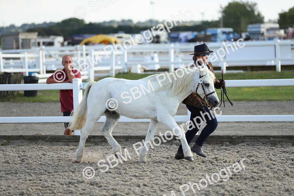 SBM_08934 - Class 29 IH Veteran Pony