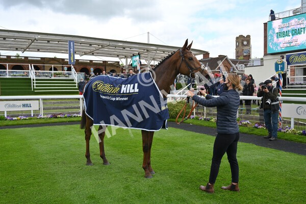 yr22052021r2-39 - Race 2 2.40pm William Hill Brontë Cup