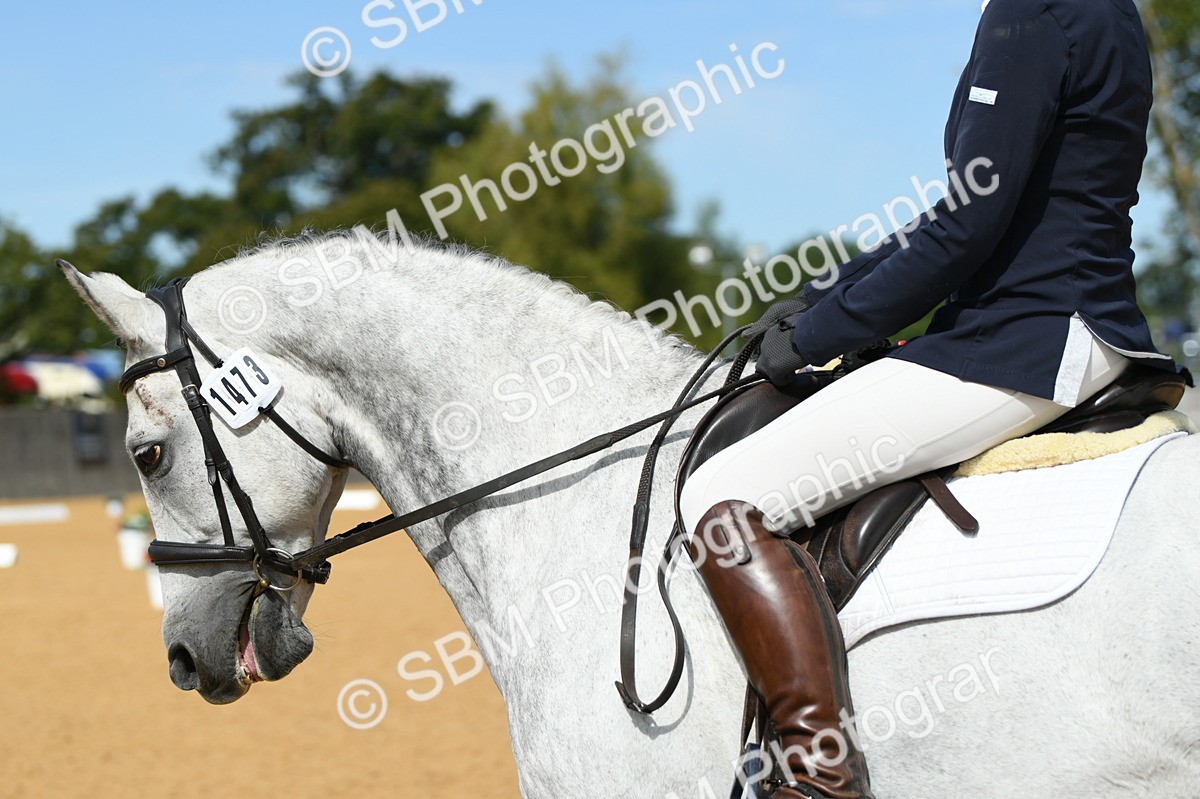 SBM_22661 - D13 - Grand Tour Championship - Prelim 12