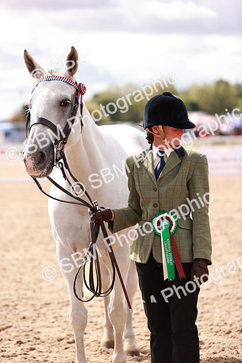 SBM_14237 - Class 407 - IH Hack Riding Horse