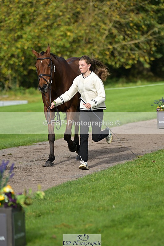 241023-131834-00197 - 011-Carla.Williamson-GOLDMAN