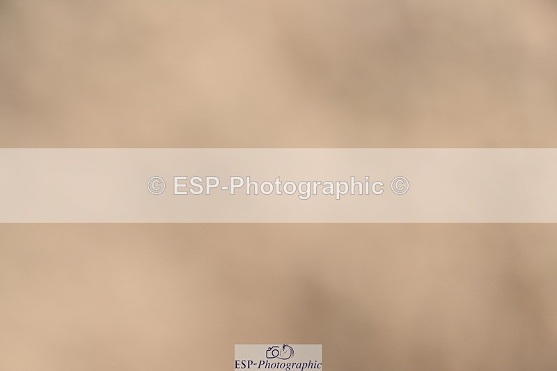 240514A-162738-00046 - 70cm