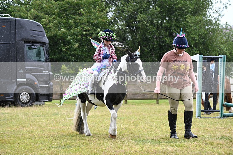 WJ6_9108 - Class 11 Fancy Dress