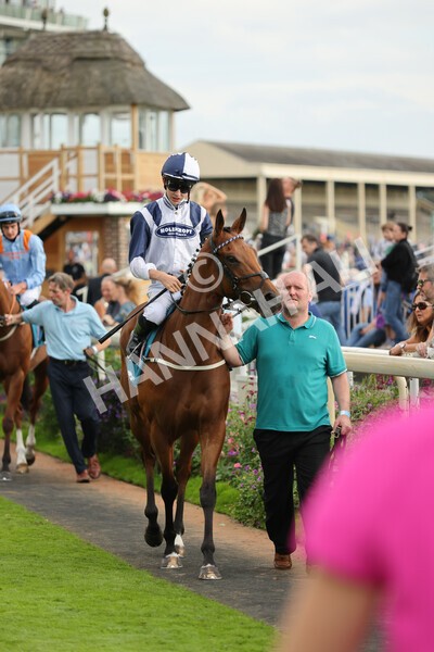 yr04092022r7-12 - Race 7 5.15pm Firmament Stakes