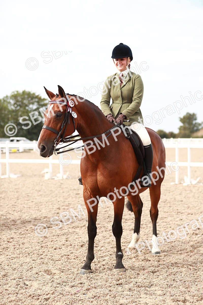 SBM_17554 - Class 215 Ridden Hack/ Riding Horse