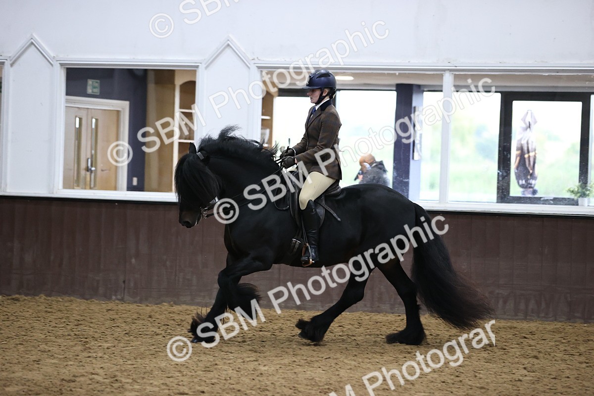 SBM_6541 - Class 43 - Ridden Native Breeds