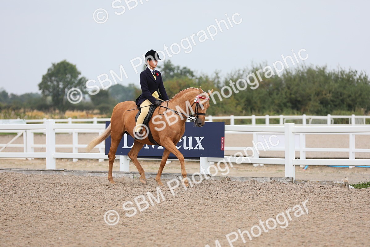 SBM_12670 - Class 307 Ridden Coloured Pony