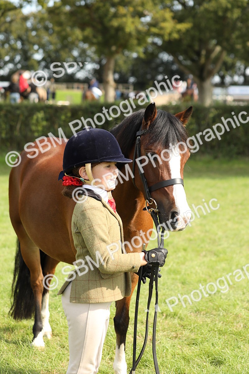 SBM_67755 - S39 - Junior Handler 8  Years & Under