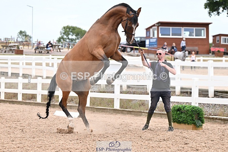 250716-155104-02222 - Trot Up 3.30 to 4.30