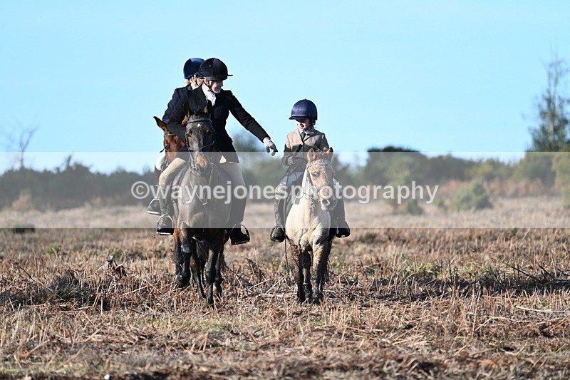 WJ7_7313 - Line 3 (no line 4 or 5)