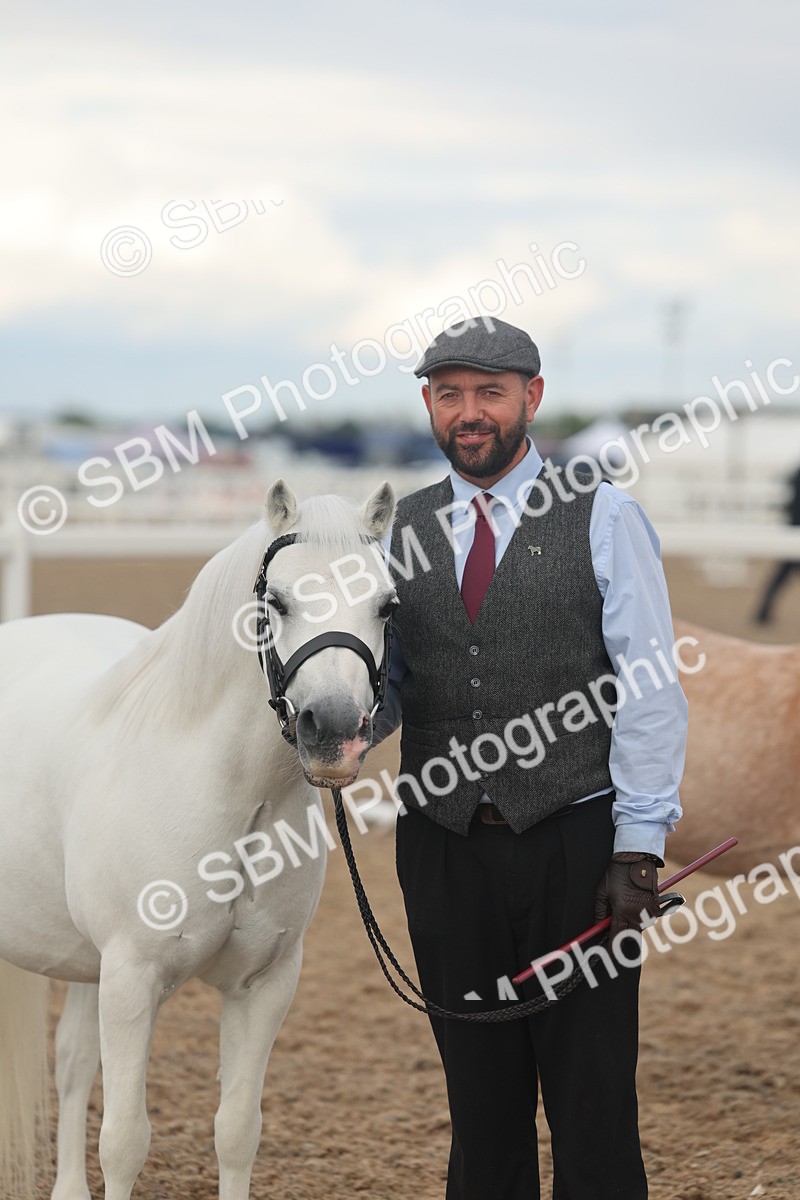 SBM_08530 - Class 29 - IH Veteran Pony